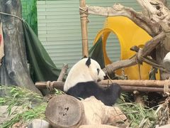 -灵玲国际马戏城