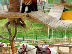 -水上乐园·欢乐世界