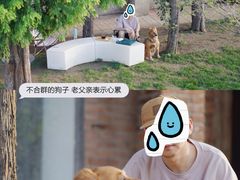 -小意思咖啡店(草桥店)