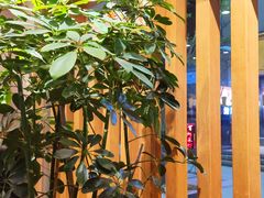 -卡旺卡(合肥步行街韵淮阁店)