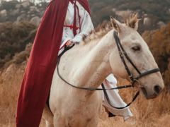 -盘子女人坊(西安至尊店)