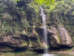 -龙苍沟森林公园