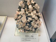 -湖南省地质博物馆