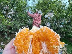 -山东师范大学(千佛山校区)