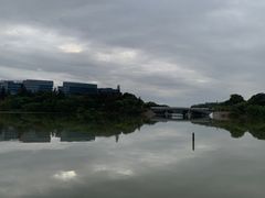 -华侨城湿地公园