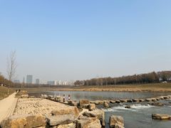 -洨河生态公园