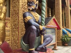 -西双版纳勐泐文化旅游区