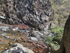 -关门山森林公园