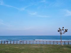 -深圳湾公园(南山区)