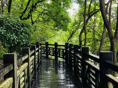 -白马涧龙池景区