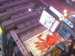-蟹道乐(道顿堀本店)