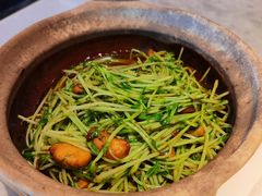 川香焗豆苗-天辣(金桥啦啦宝都店)