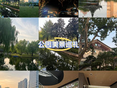 -和平公园