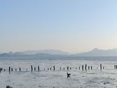 -深圳湾公园(南山区)