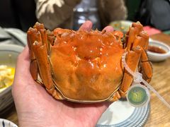 -蟹黄鱼·海派深夜面馆(巨鹿路店)