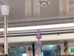 -岗子村(地铁站)