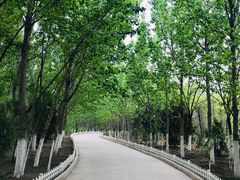 -肯德基(中纬店)
