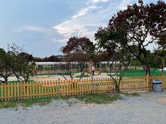 -长洲岛都市农业公园