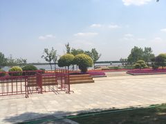 -武清南湖绿博园