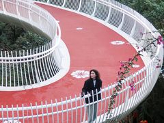 -金鸡山公园