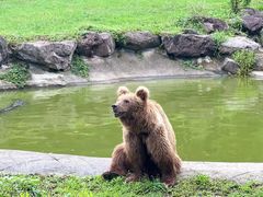 -宁波野生动物园