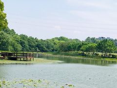 -铭莲·八卦田水上餐厅