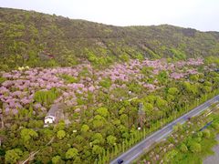 -苏州太湖国家湿地公园