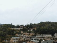 -花竹村