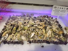 -圣罗巴海鲜烤肉自助(赤峰店)
