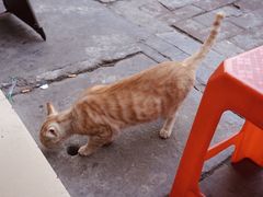 -胡椒猪肚汤(康王店)