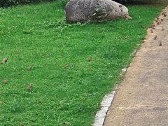 -四里河滨水生态公园