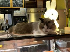 -咖法森林·咖啡  酒吧(天河店)