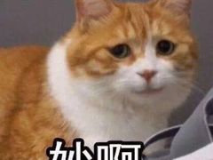 -老兰家传统烧烤炒菜泡馍(小南门店)