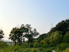 -佛手湖郊野公园