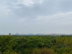 -贡湖湾湿地公园