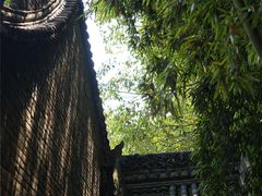 -罔极寺