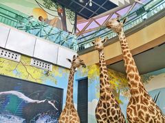 -陕西自然博物馆