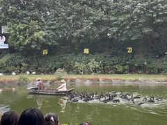 -广州长隆飞鸟乐园