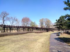 -蒲河岛湿地公园