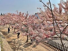 -维乐口腔医院(福清院)