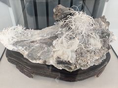 -房山世界地质公园博物馆