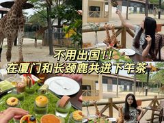 -灵玲国际马戏城