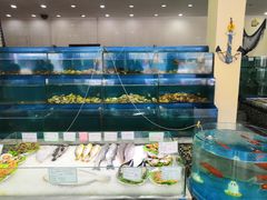 水产区-海岛渔村大酒店(云霄路店)