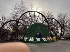 -呀路古热带植物园