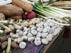-红星楼标准化菜市场(红星里店)