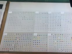 -苏针艺纹身·穿孔饰品