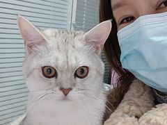 -瑞派福兴宠物医院犬猫全科·骨科·中西医结合(河东店)