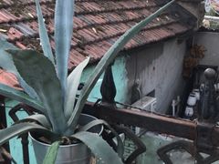 -大水的店(昙华林店)