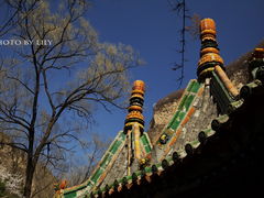 -藏山旅游风景区
