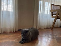 -Me Coffee下午茶艺术空间